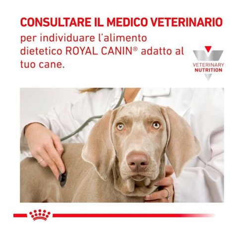 Royal Canin Hepatic alimento umido...