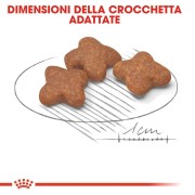 Royal Canin Mini Adult alimento secco per cani crocchette