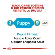 Royal Canin German Shepherd Puppy alimento secco cani