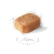 Royal Canin Chihuahua Adult alimento secco cane crocchetta