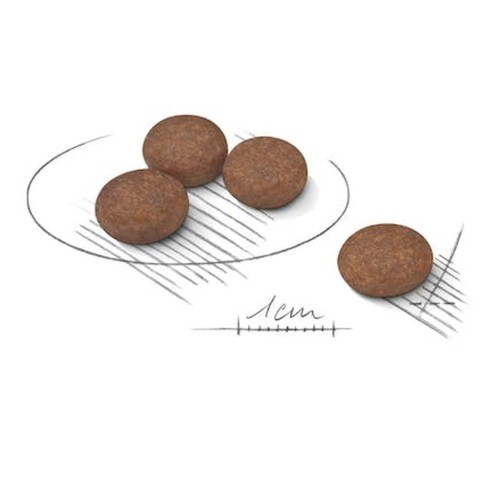 Royal Canin Mini Digestive Care alimento secco cane