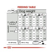 Royal Canin Mini Digestive Care alimento secco cane