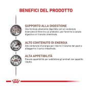 Royal Canin Gastrointestinal alimento umido cane 400g