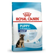 Royal Canin Puppy Maxi alimento secco cane