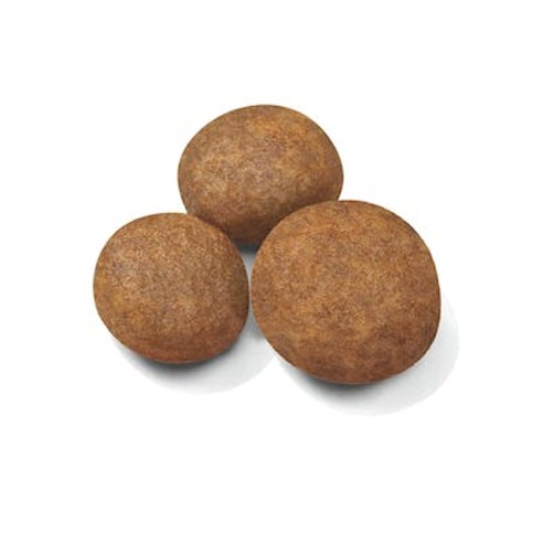 Royal Canin Puppy Maxi alimento secco cane crocchette
