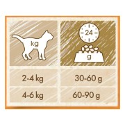 Cat Chow Adult gatto crocchette ricco in pollo 1,5 kg