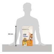 Cat Chow Adult gatto crocchette ricco in pollo 1,5 kg