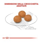 Royal Canin X-Small Adult alimento secco cane crocchette