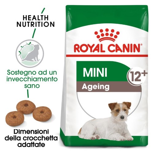 Royal Canin Mini Ageing 12+ alimento secco cane