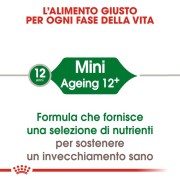 Royal Canin Mini Ageing 12+ alimento secco cane