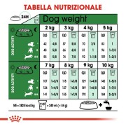 Royal Canin Mini Ageing 12+ alimento secco cane