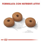 Royal Canin Mini Light Weight Care alimento secco cane crocchette