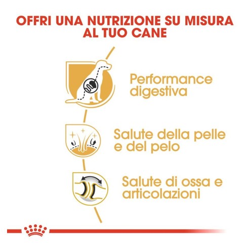 Royal Canin German Sherphard Adult alimento secco cane