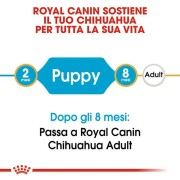 Royal Canin Chihuahua Puppy alimento secco cane 500g