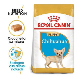 Royal Canin Chihuahua Puppy alimento secco cane 500g 2