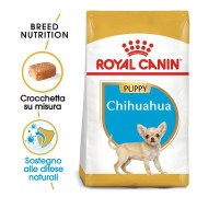 Royal Canin Chihuahua Puppy alimento secco cane 500g