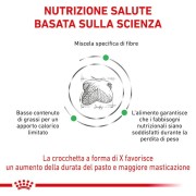 Royal Canin Satiety Weight Management alimento secco cane 1,5kg