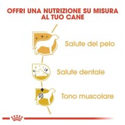 Royal Canin Barboncino Adult alimento secco cane 1,5kg