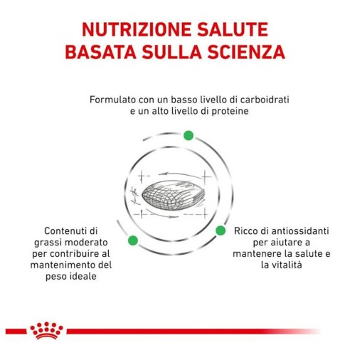 Royal Canin Diabetic alimento secco...