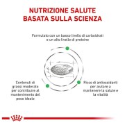 Royal Canin Diabetic alimento secco cane 1,5 kg