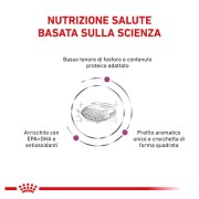 Royal Canin Renal alimento secco cane 2kg
