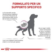 Royal Canin Renal alimento secco cane 2kg