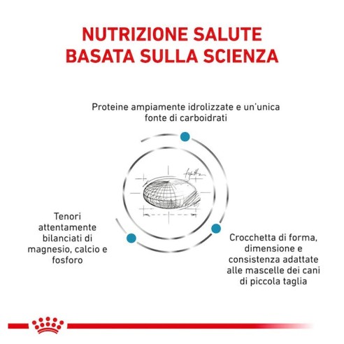 Royal Canin Hypoallergenic Small dogs alimento secco 1kg