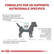 Royal Canin Hypoallergenic Small dogs alimento secco 1kg