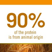 Farmina N&D Ancestral Grain Selection adult medium & maxi pollo e melograno 12+3 kg