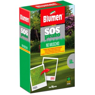 Semi prato Sos Prato No Muschio 1kg Blumen 96518/96521