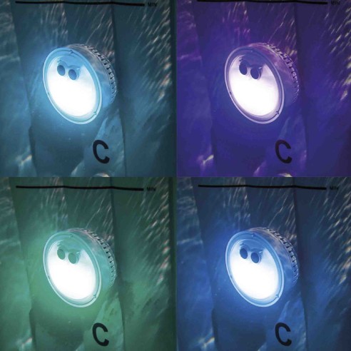 Luce LED multicolore PureSpa Intex 28503