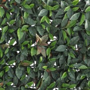 Siepe verdecor a pannello foglie tipo Photinia 0,5x1 m Verdemax