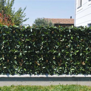 Siepe verdecor a pannello... 2