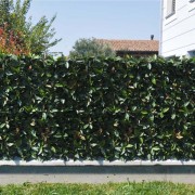 Siepe verdecor a pannello foglie tipo Photinia 0,5x1 m Verdemax
