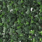 Siepe Verdecor a pannello foglie tipo Edera 0,5x1 m Verdemax