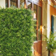 Siepe pannello Amazzonia 0,5x1 m Verdemax