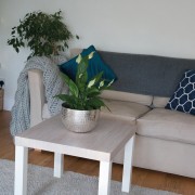 Pellicola adesiva per mobili Quercia Santana Oak Kalk 90cmx2,10m