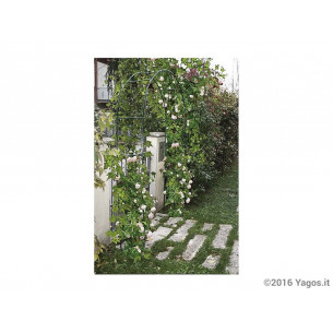Arco-in-ferro-decorativo-per-rampicanti-Verdemax-3449 2