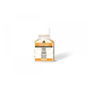 Vernice-Damar-Maimeri-per-pittura-a-olio