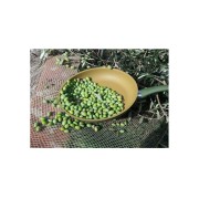 Padella-Olivilla-antiaderente