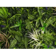 Siepe verdecor decoro a pannello 0,5 x 1 m Verdemax