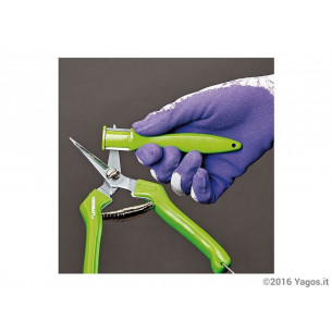 Affilalame-Verdemax-4198 2