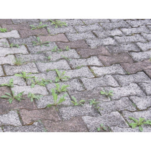 Erbicida-concentrato-Flortis-Diserbosan 2