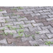 Erbicida-concentrato-Flortis-Diserbosan