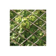 Traliccio-estensibile-Verdemax-in-salice-naturale