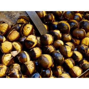 Padella-per-castagne-Laferrotecnica-diam-31cm-con-manico 2