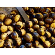 Padella-per-castagne-Laferrotecnica-diam-31cm-con-manico