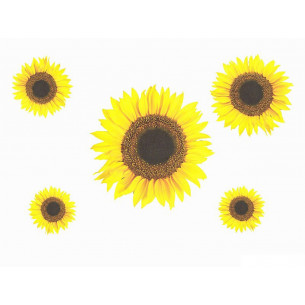 Adesivi-murali-Home-Decor-rimovibile-Girasoli-31x31cm