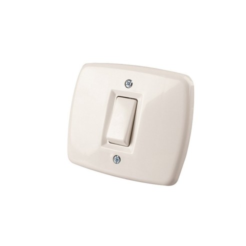 Deviatore-unipolare-Basic-10A-con-placca-autoportante