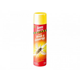 Insetticida-Vespe-e-Calabroni-Duracid-750ml-spray